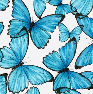 Meet your Posher, Mackenzie